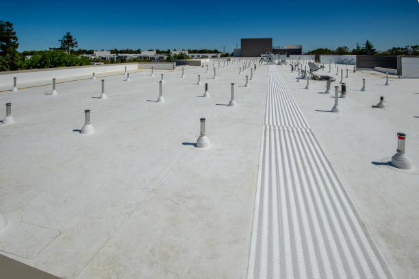 Best Asphalt Shingles Roofing  in Bridge City, TX